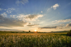 Paesaggio di campagna al tramonto con cielo nuvoloso arancione e campi in primo piano